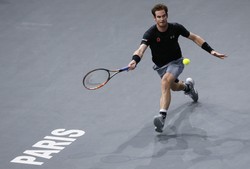 Murray pierwszym finalistą turnieju ATP w Paryżu