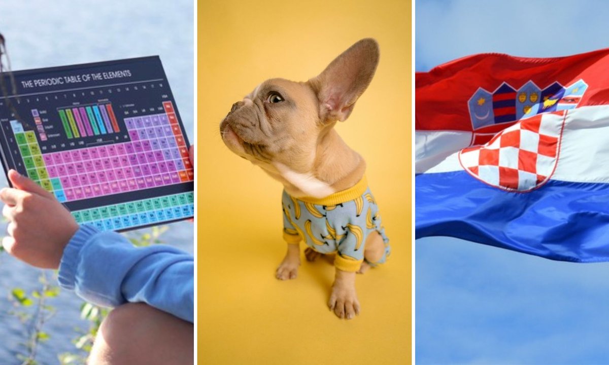 Pytania z "Matura to bzdura". Niby proste, ale łatwo na pewno nie będzie