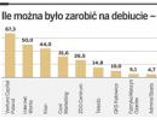 Ile można było zarobić na debiucie spółki na NewConnect
