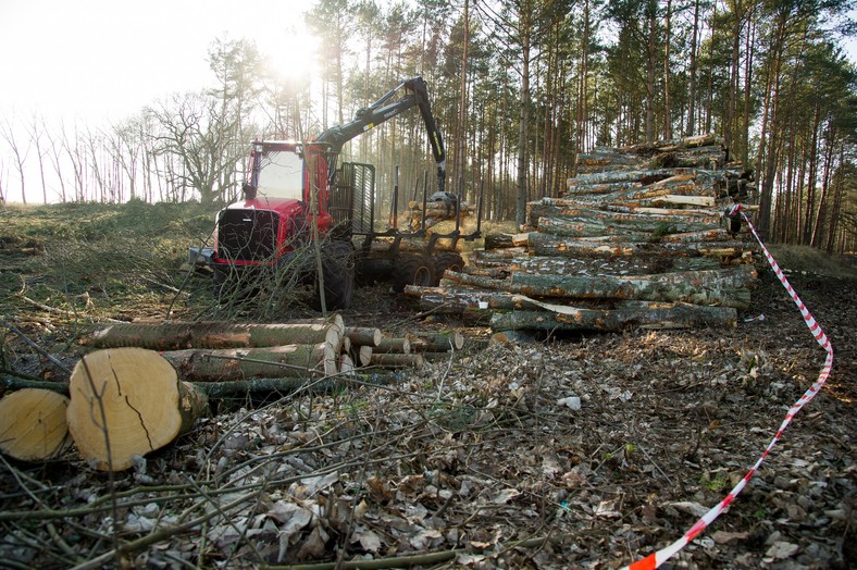 Przekop Mierzei Wiślanej