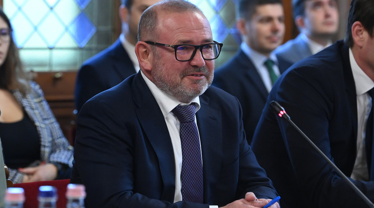 Lantos Csaba energiaügyi miniszter ma teszi le az esküjét /Fotó: MTI/Máthé Zoltán