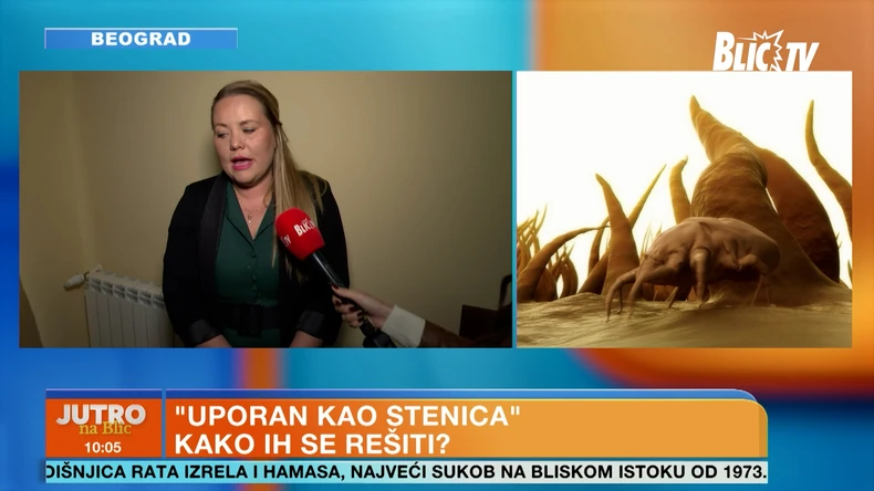 Stenice, čišćenje insekata