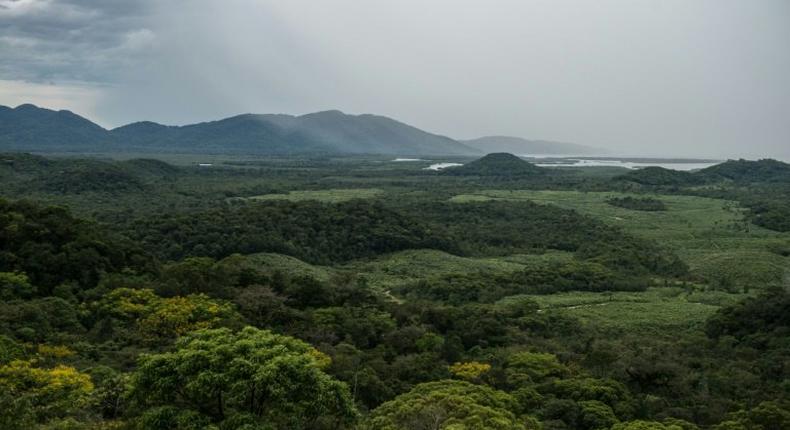 Ranchers and settlers in the remotest reaches of northwestern Brazil are voraciously cutting down rainforest to farm crops, encroaching on the ancestral lands of three uncontacted groups, said Survival International