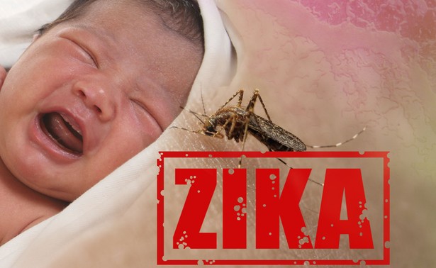 WHO: Zika to globalne zagrożenie dla ludzi