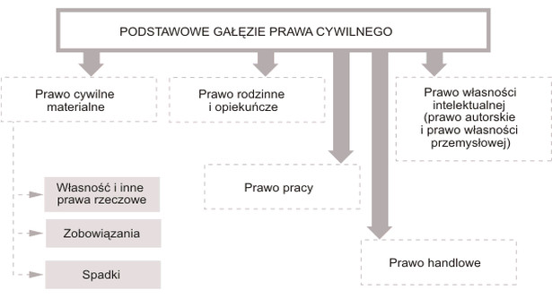 Podstawowe gałęzie prawa cywilnego