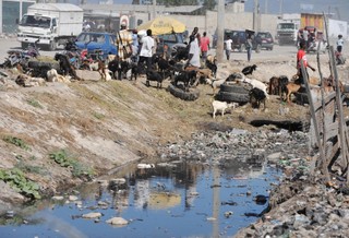 Haiti: Co najmniej 11 osób zginęło w trzęsieniu ziemi
