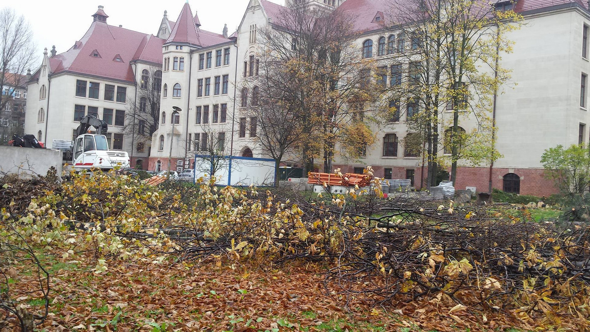 Od wtorku na dziedzińcu Kampusu Wydziału Architektury Politechniki Wrocławskiej przy ul. Prusa wycięto 12 drzew, żeby zrobić miejsce na nowy parking dla samochodów. Przedstawiciele uczelni tłumaczą, że innego wyjścia nie było, a prace są prowadzone w ramach planu zagospodarowania przestrzennego.
