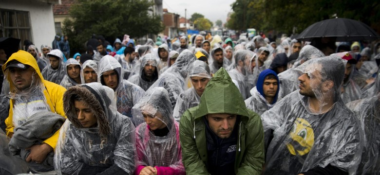 Rzeczniik Praw Obywatelskich apeluje do Kopacz o godne przyjęcie imigrantów