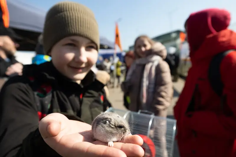 Uchodźcy z Ukrainy ze swoimi zwierzętami na przejściu granicznym w Medyce