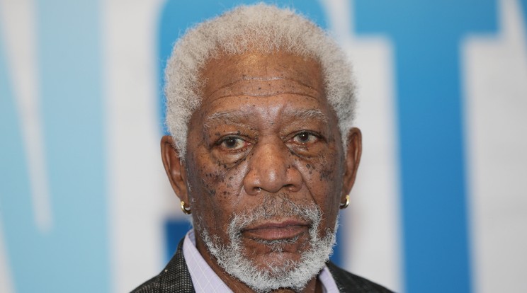 Morgan Freeman szerint az egész világnak fontos, hogy megóvjuk a méheket /Fotó: Northfoto