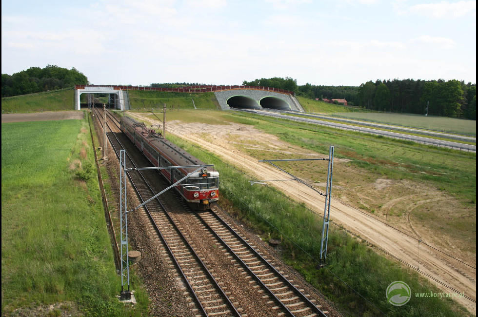 Jeden z korytarzy ekologicznych nad przejazdem kolejowym i autostradą
