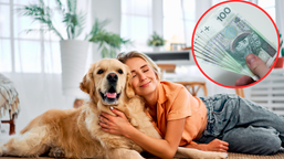 pies kosztuje? nie wszędzie! sprawdź, kto zapłaci opłatę w 2026 roku