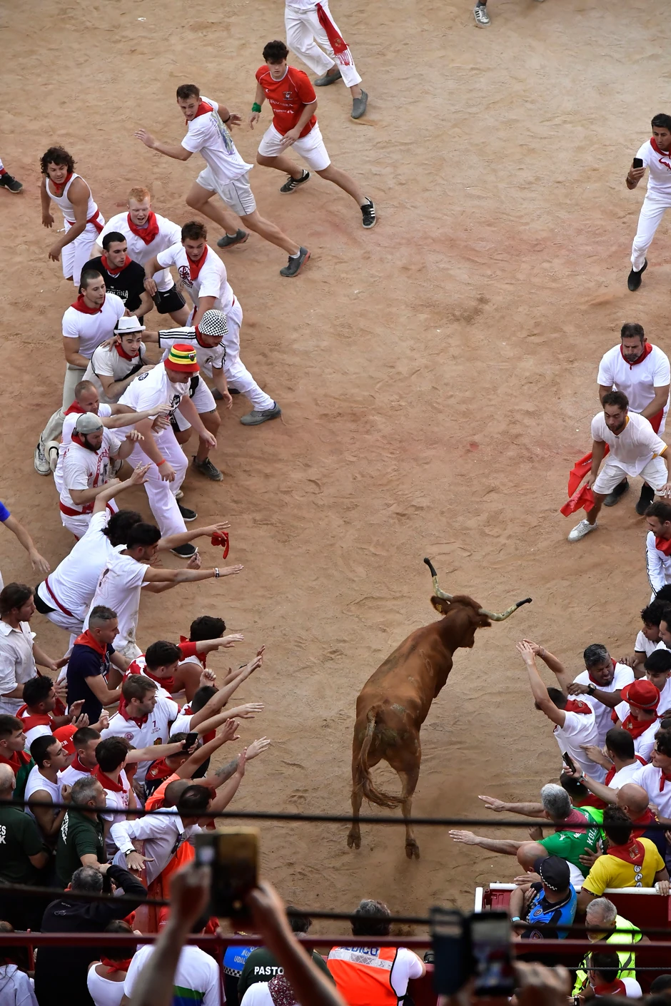 Trka bikova, Pamplona