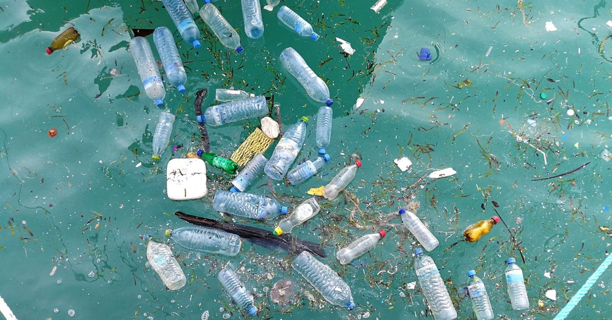 Odkryto bakterie zjadające plastik w głębinach oceanu