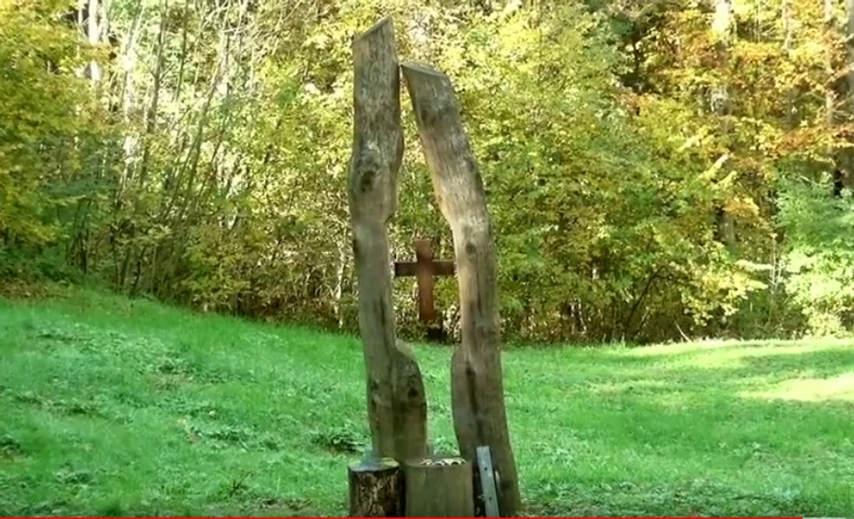 Šuma kao poslednje odmorište