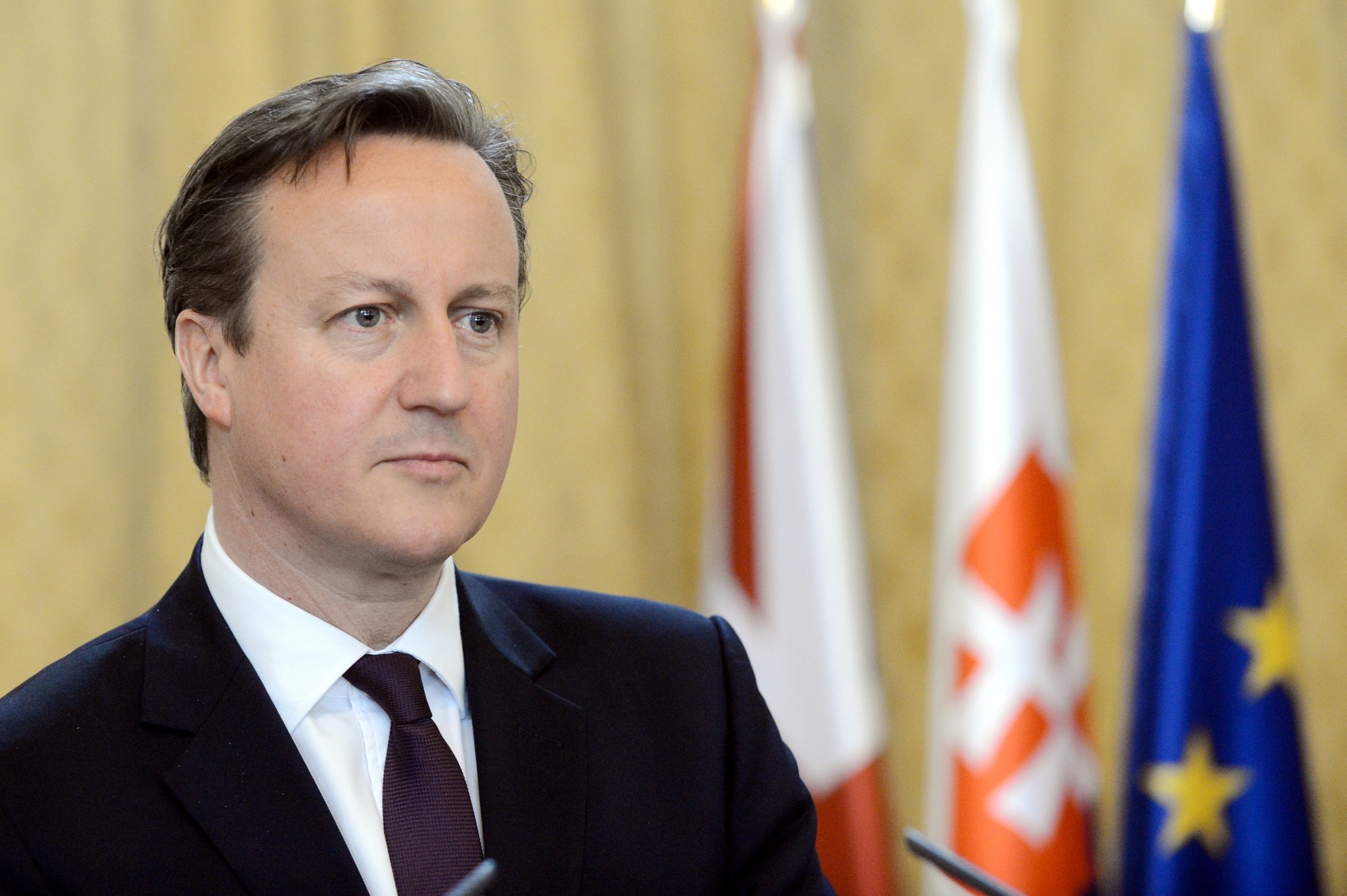 Bývalý britský premiér David Cameron.