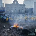 Parlament Europejski obrzucony jajkami i kamieniami, w tle pożary. Rolnicy mają dość [WIDEO]