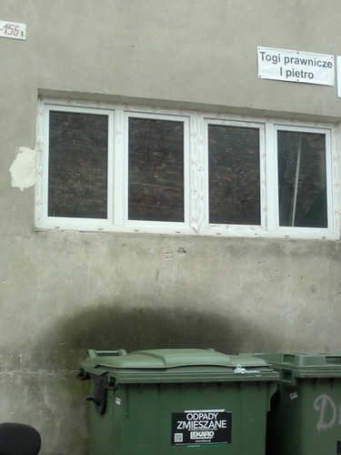 Autor zdjęcia: Ewa Szadkowska