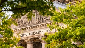 Milion drzew za trzy miliardy euro. Burza w Niemczech. "Absolutny żart"