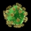 HIV virus