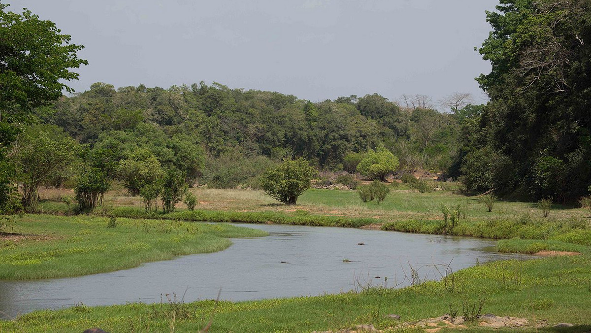 Park Narodowy Komoe w Wybrzeżu Kości Słoniowej, po 14 latach, został usunięty we wtorek z Listy światowego dziedzictwa w zagrożeniu. Taką decyzję podjął obradujący w Krakowie Komitet Światowego Dziedzictwa UNESCO.