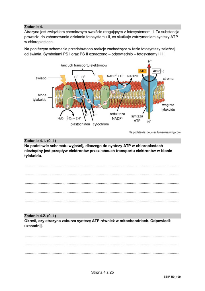 Arkusz maturalny - biologia rozszerzona - 2022 r.