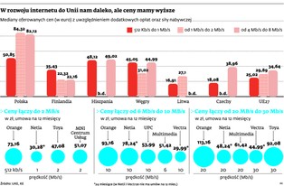 Polacy płacą za internet stacjonarny najwięcej w Unii Europejskiej