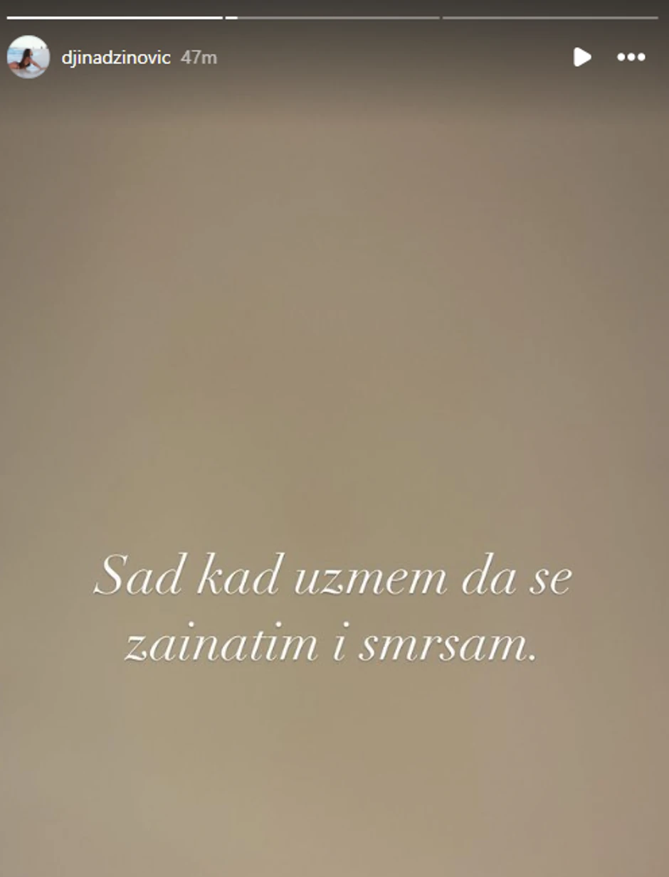 Đina Džinović objava