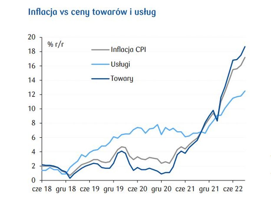 Wzrost cen konsumpcyjnych dotyczy przede wszystkim towarów, ale w dwucyfrowym tempie drożeją też usługi.