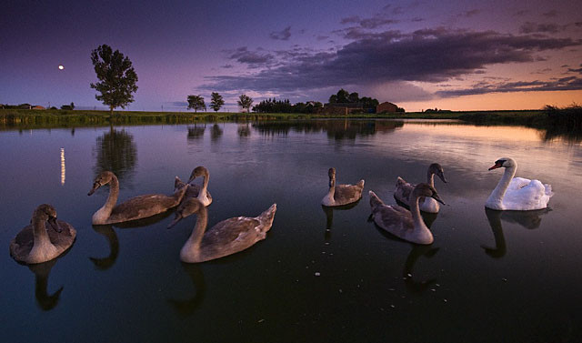 II wyróżnienie w kategorii "Pejzaż polski" dla Romana Chudzika z Rudna za zdjęcie "Rozmowy w blasku księżyca", V Konkurs Fotograficzny National Geographic Polska