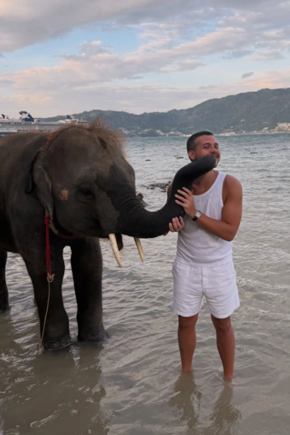 Viktor Živojinović