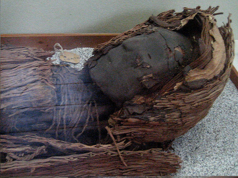Mumia kultury Chinchorro z ok. 3000 lat p.n.e. Foto: Pablo Trincado (licencja CC BY 2.0)