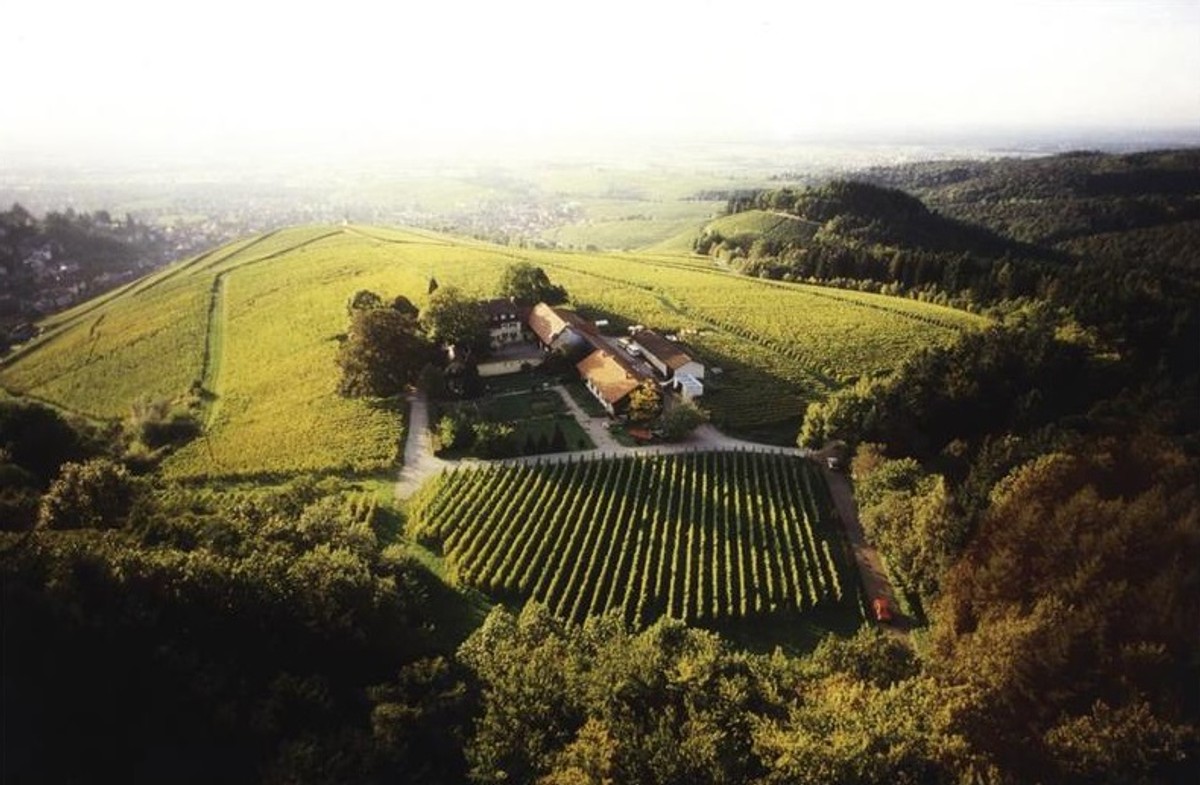 Winnica w okolicy Baden-Baden (Niemcy); Cena 14,8 mln EUR; źródło Christie’s International Real Estate
