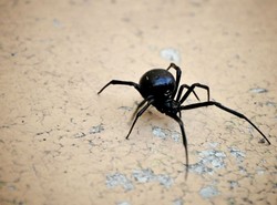 Mniejsi panowie są lepszymi kochankami