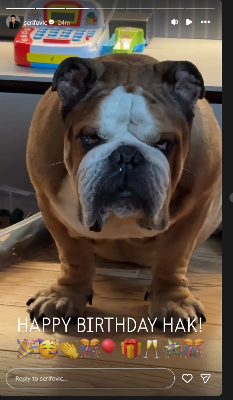 Marija i Mario Šerifović slave rođendan psu