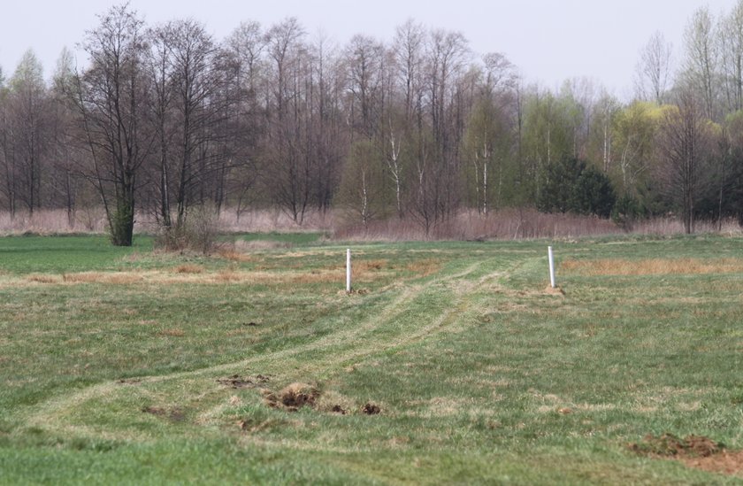 Linka omal nie zabiła Dominika