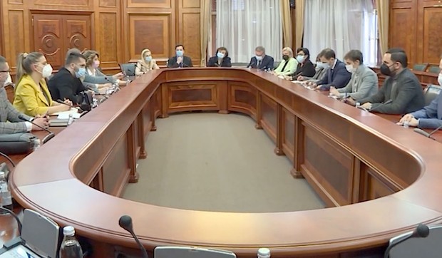 frilenseri  u vladi srbije