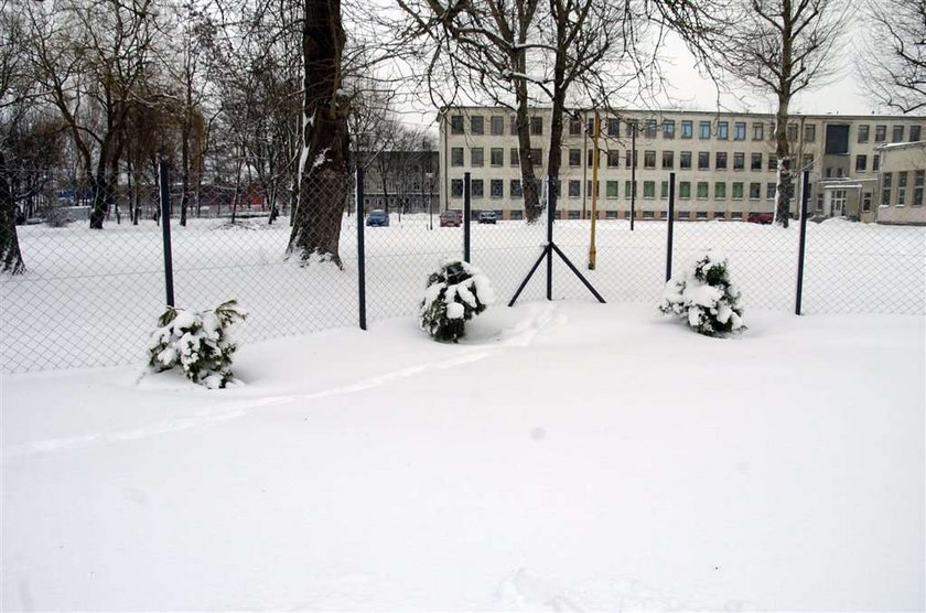 NFZ sadzi krzaki zimą. Ktoś na tym zarobił...