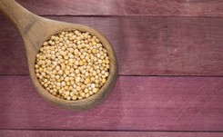 Salmonella w popularnej przyprawie. GIS ostrzega