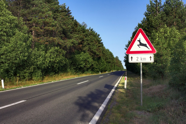 Projekt przewiduje, że płatności związane z budową autostrad i najważniejszych dróg będą realizowane poprzez specjalne rachunki powiernicze.