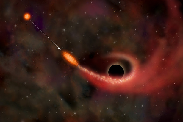 Stephen Hawking i Kip Thorne, wielcy fizycy XX wieku, udowodnili, że zjawisko fizyczne również może być przedmiotem interesującego zakładu. W 1974 r. założyli się oni, czy układ podwójny Cygnus X-1 – galaktyczne źródło promieni rentgenowskich, zawiera w sobie czarną dziurę. Pierwszy z nich stwierdził, że absolutnie nie, natomiast jego rywal zgodził się z przedstawioną tezą. Na początku lat 90. okazało się, że rację miał jednak Kip Thorne. Hawking postanowił więc wypełnić warunki zakładu i ufundował rywalowi roczną prenumeratę… Penthouse’a. Jak wieść niesie żona Thorne’a nie była zbyt zadowolona z wygranej swojego męża.