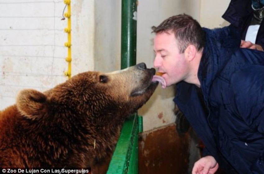 Ovaj posetilac medvedu daje poslasticu - iz sopstvenih usta