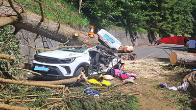 Tragedia w Karkonoszach. Przygnieciony samochód. Nie żyją dwie kobiety i dziecko [ZDJĘCIA]