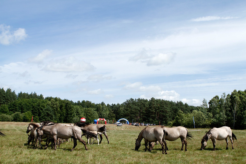 4x4 Family Adventure Kołobrzeg