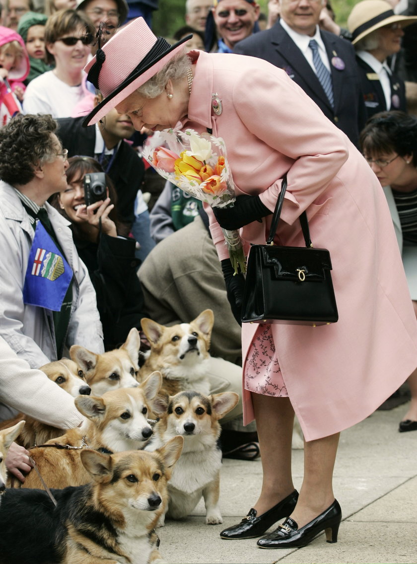 Królowa Elżbieta II i jej ulubione zwierzęta