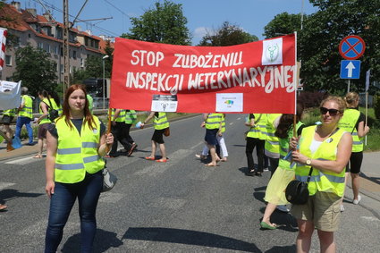 Weterynarze dostaną podwyżki. Ok. 630 zł na osobę