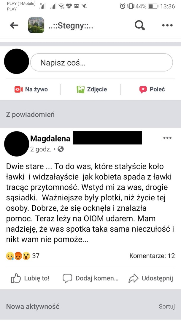 Awantura na Stegnach