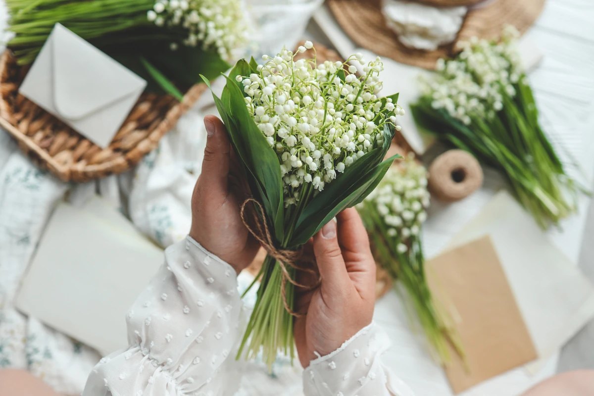 Ostrożnie z bukietami z konwalii majowej. Zatrucie konwalią grozi głównie dzieciom