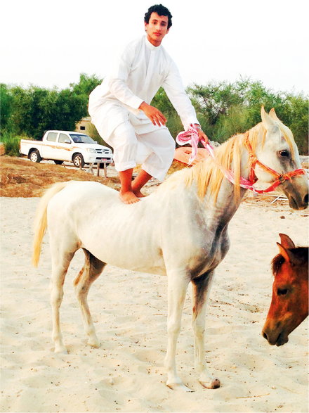 Arabski książę na białym koniu