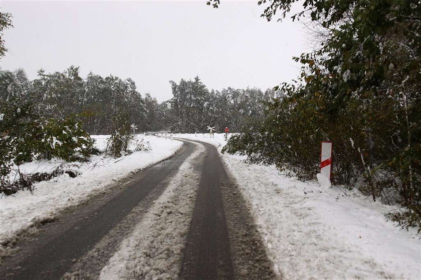 Wampir napadł na kobietę!